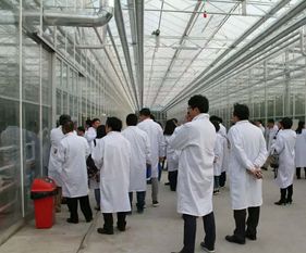 永通科技亮相京津冀，共探蔬菜工廠化生產(chǎn)新路徑